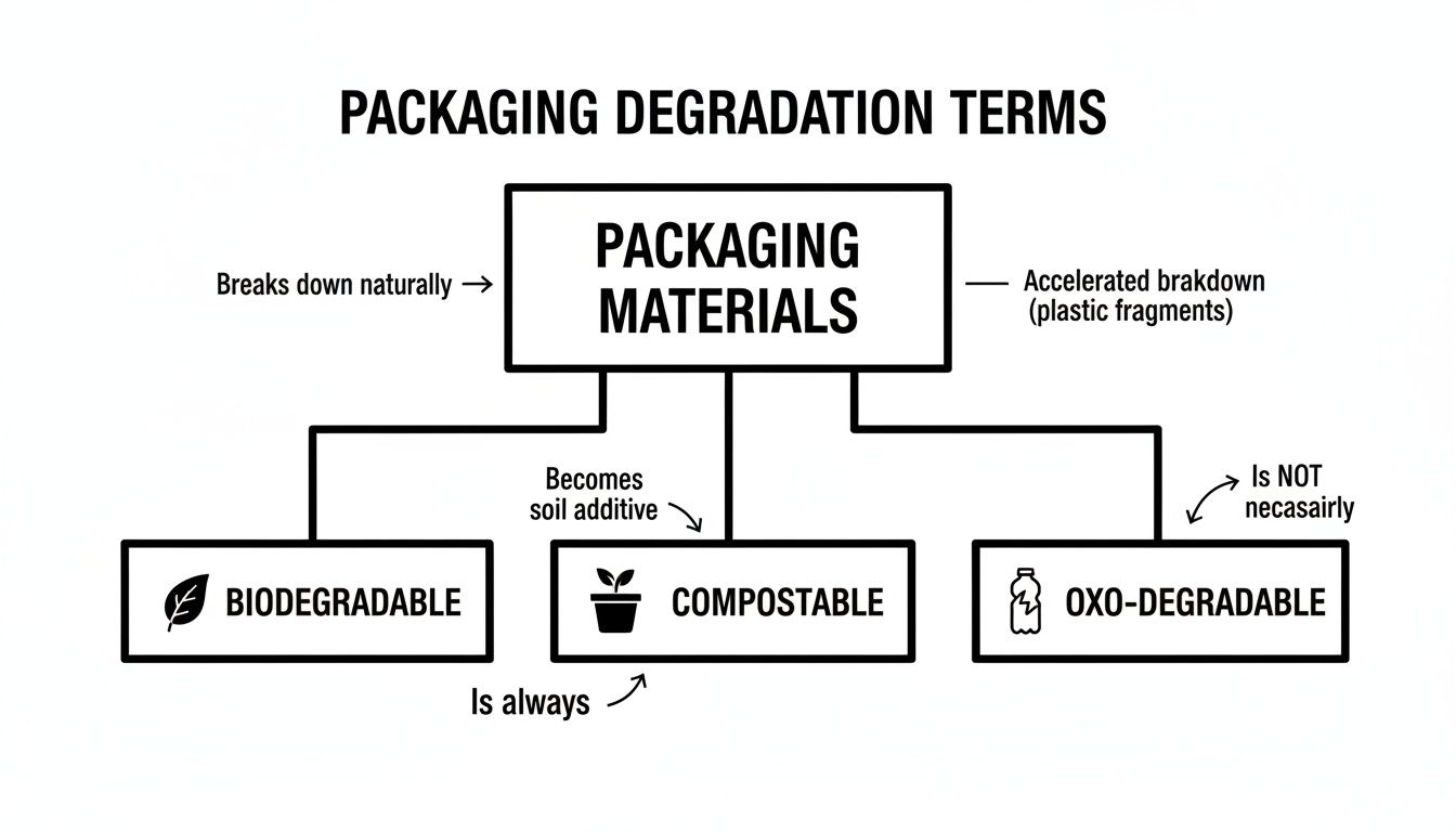 Infographic detailing packaging degradation terms: Biodegradable, Compostable, Oxo-degradable and their relationships.